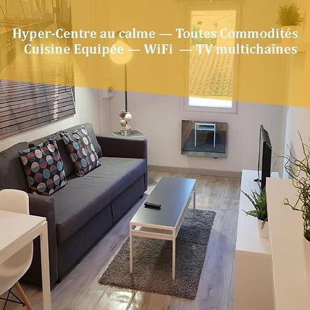 Appartement "Gabrielle" Au Calme En Hypercentre De Revel Ровел Екстериор снимка