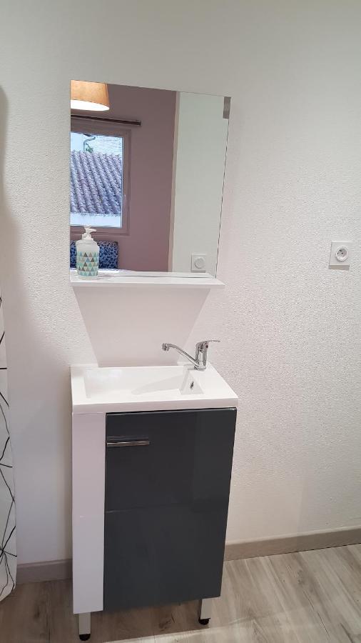 Appartement "Gabrielle" Au Calme En Hypercentre De Revel Ровел Екстериор снимка
